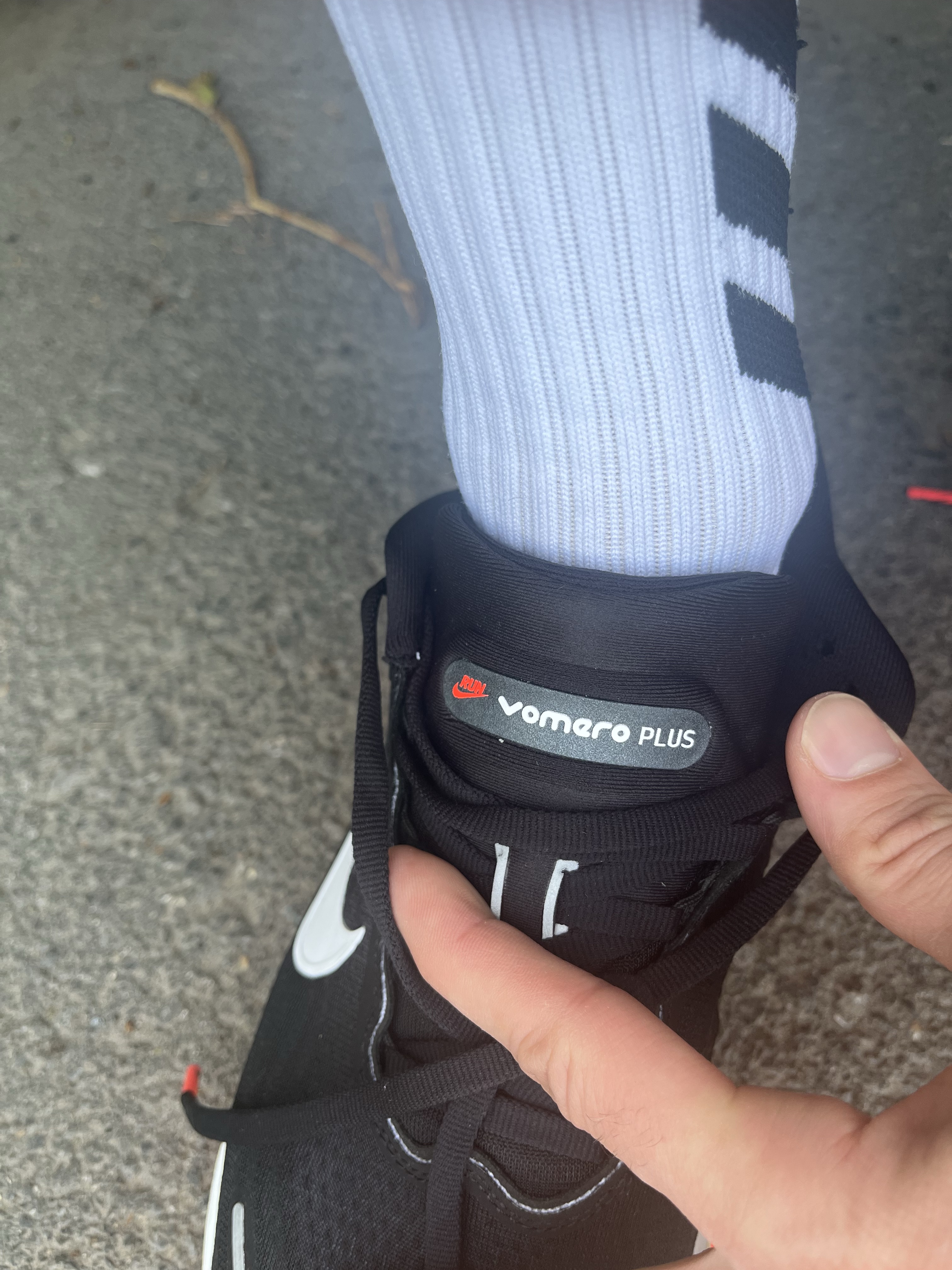 Фото из отзыва